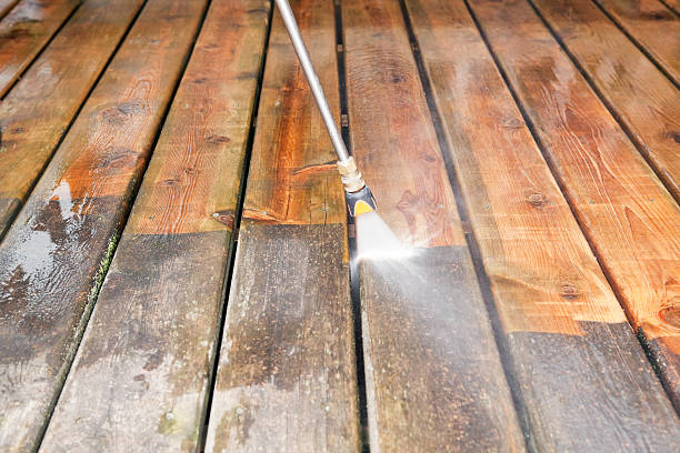 Animal Enclosure Cleaning in Norton, OH